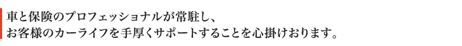 車と保険のプロフェッショナルが常駐し、お客様のカーライフを手厚くサポートすることを心掛けおります。